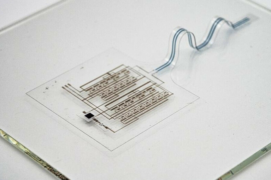 Bilim insanları dokunma hissi veren elektronik deri geliştirdi Bilim insanları dokunma hissi veren elektronik deri geliştirdi