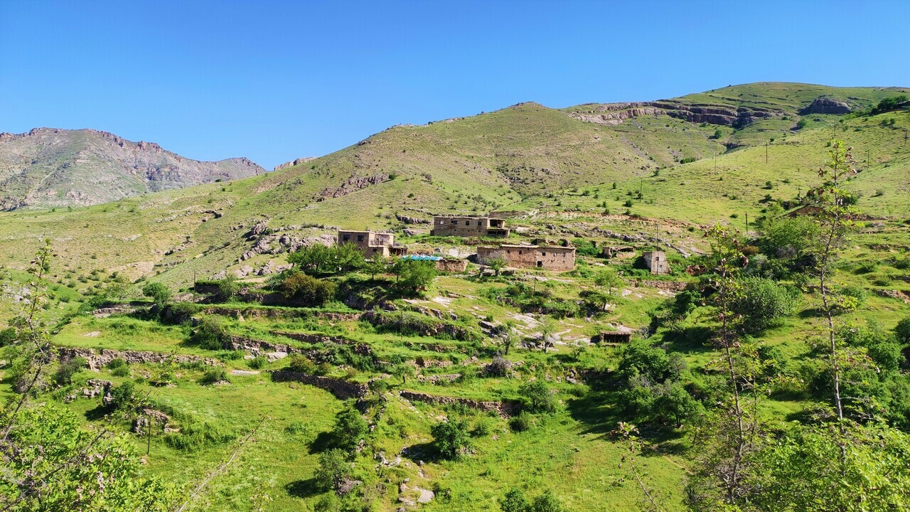 Tesadüfen buldular, gözlerine inanamadılar! Tam 3 milyon yıllık doğa harikası