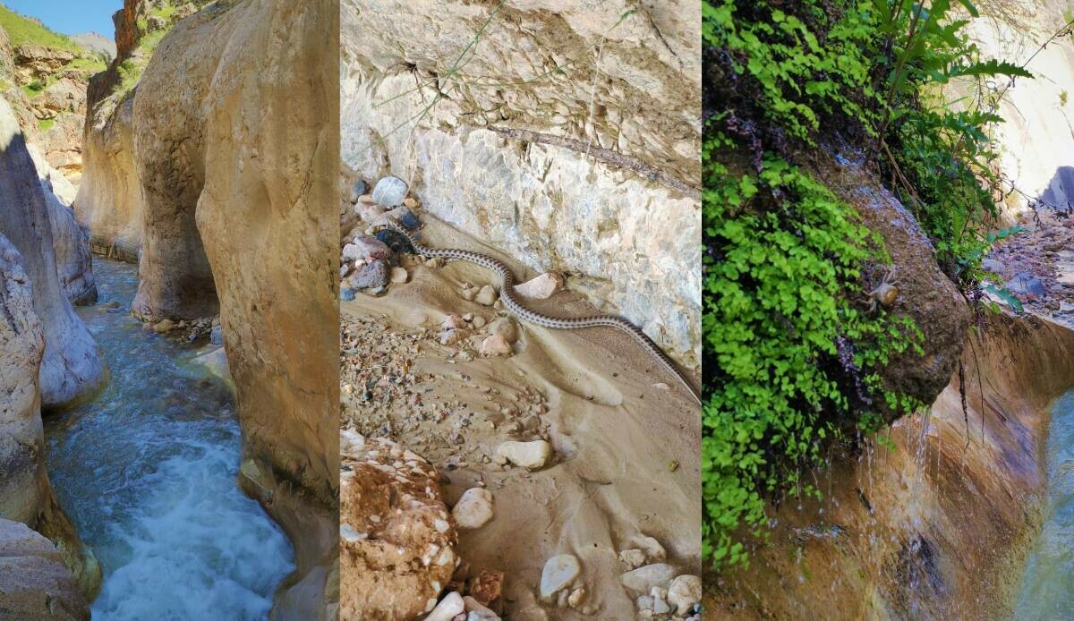 Tesadüfen buldular, gözlerine inanamadılar! Tam 3 milyon yıllık doğa harikası
