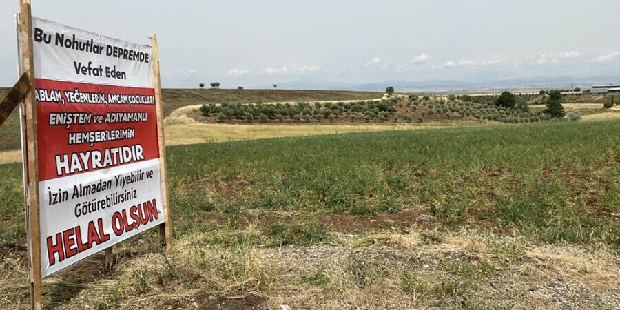 Depremzede, nohut tarlasını vatandaşlara açıp “Helal olsun” pankartı astı  Depremzede, nohut tarlasını vatandaşlara açıp “Helal olsun” pankartı astı