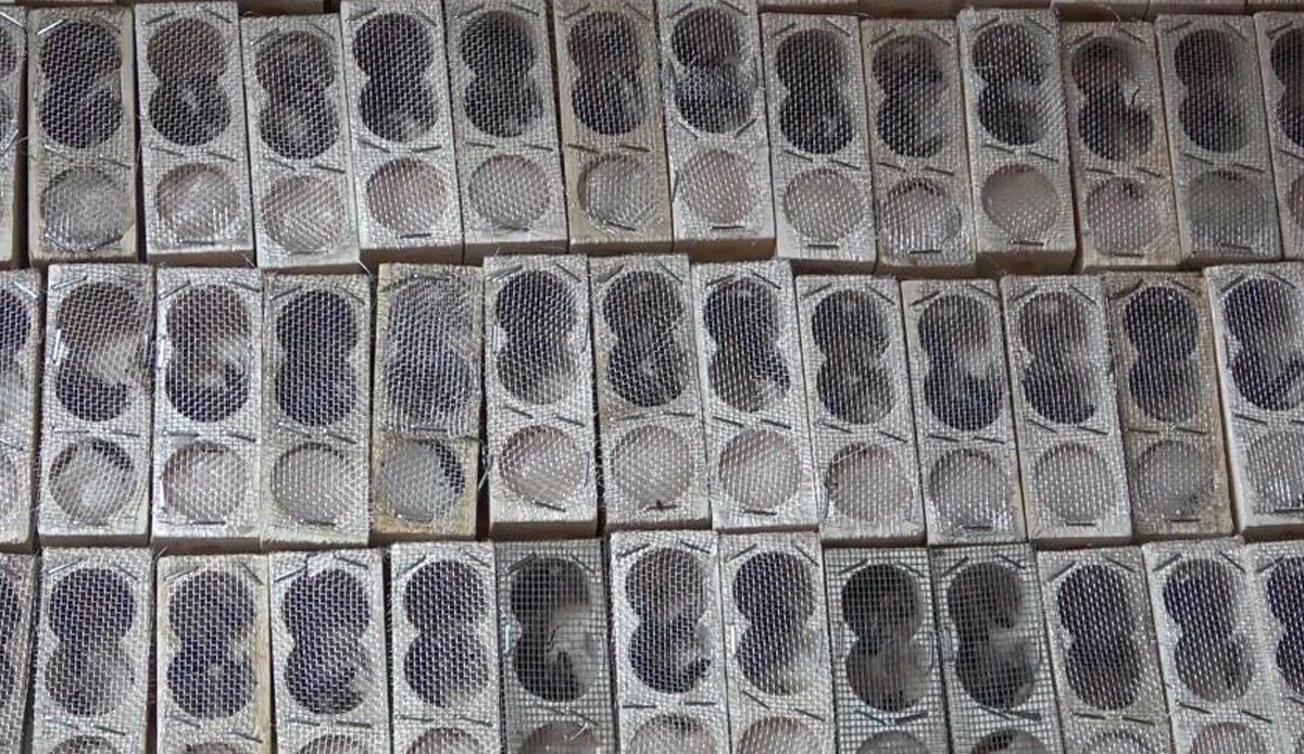 Türkiye'de sadece 5 kişi üretiyor! Tanesi ise 300 TL'den satılıyor