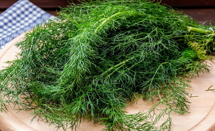 İbrahim Saraçoğlu önerdi! 1 fincan içildiğinde tüm mikropları söküp atıyor