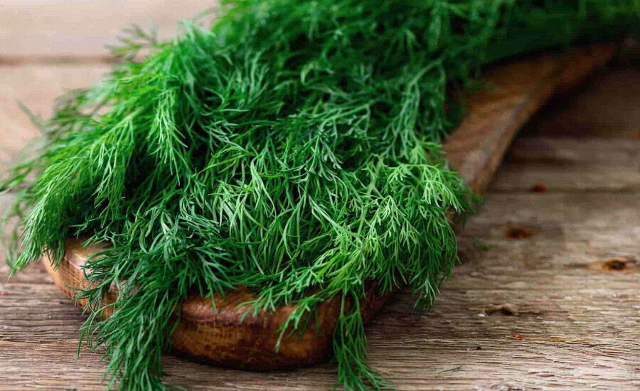 İbrahim Saraçoğlu önerdi! 1 fincan içildiğinde tüm mikropları söküp atıyor