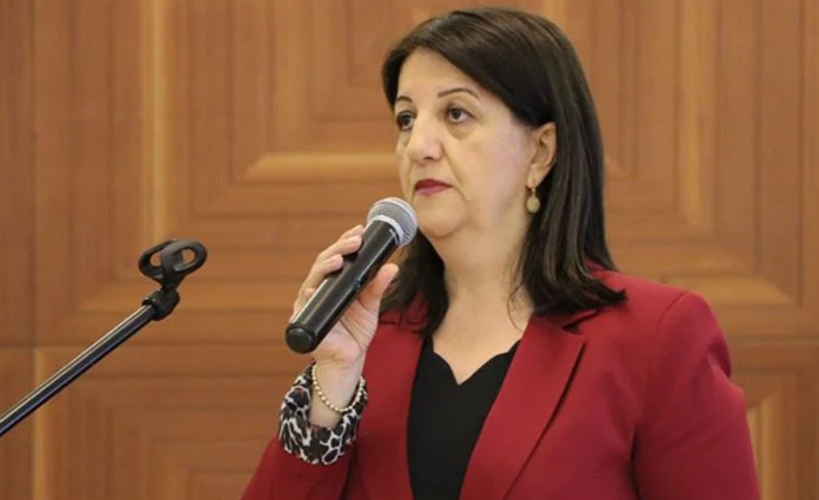 Pervin Buldan seçimlerde kimi destekliyor? Pervin Buldan kaç yaşında mesleği ne?