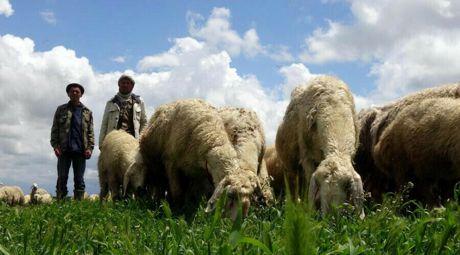 Çareyi Afganlarda buldular! 16 bin lira maaşlı işe talip yok