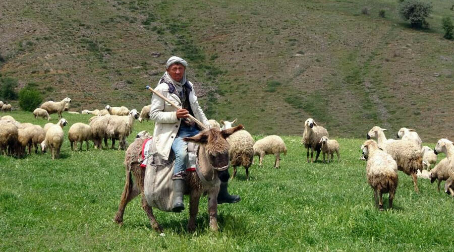 Çareyi Afganlarda buldular! 16 bin lira maaşlı işe talip yok