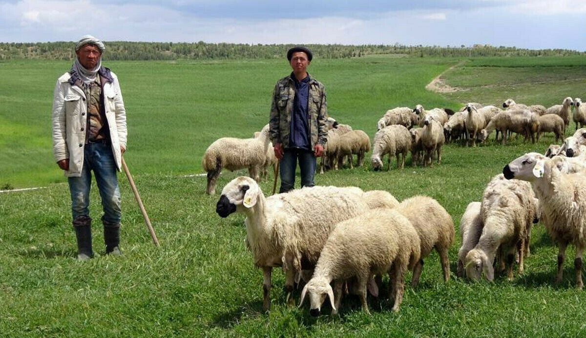 Çareyi Afganlarda buldular! 16 bin lira maaşlı işe talip yok Çareyi Afganlarda buldular! 16 bin lira maaşlı işe talip yok