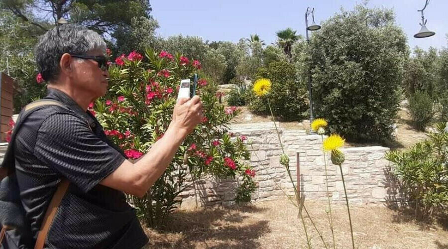 Sakın koparmayın... Cezası 1 Tofaş fiyatı! Sakın koparmayın... Cezası 1 Tofaş fiyatı!