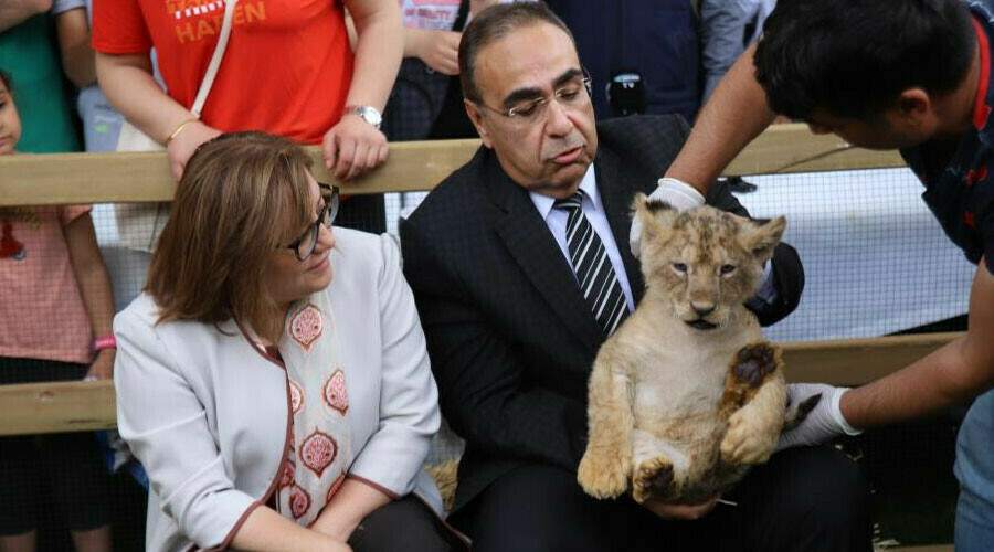 Cumhurbaşkanı Erdoğan’ın aslanı dördüz doğurdu