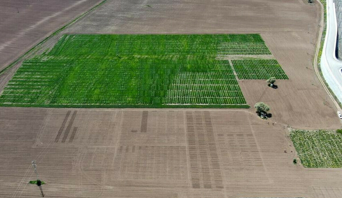 Türk çiftçilerini dünya tarımında söz sahibi yapacak dev proje! Adeta damga vuracak, hazırlıklar başladı