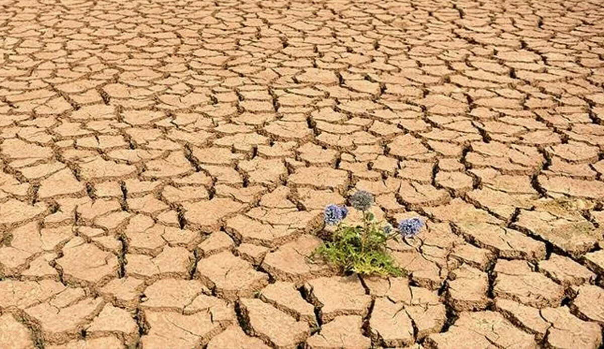 Küresel ısınma kapıda: Rekor sıcaklık geliyor