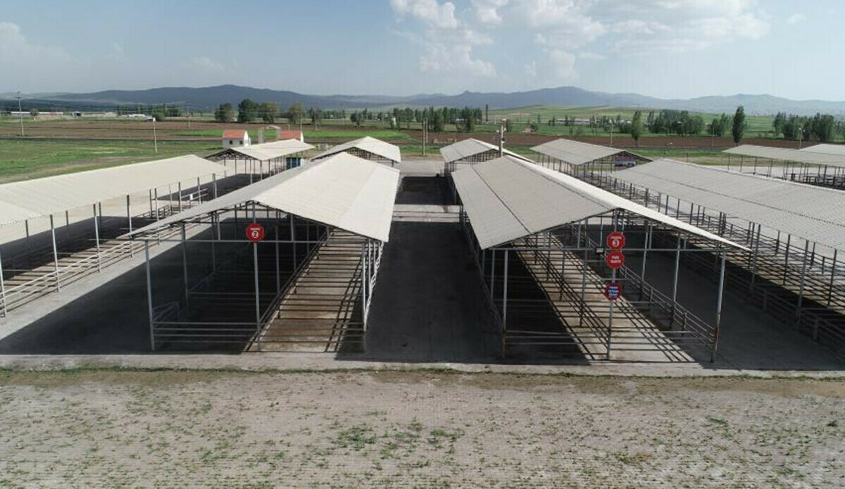  Kurban Bayram&#039;ı öncesi Sivas&#039;ta tedbir! Tüm hayvan pazarları kapatıldı