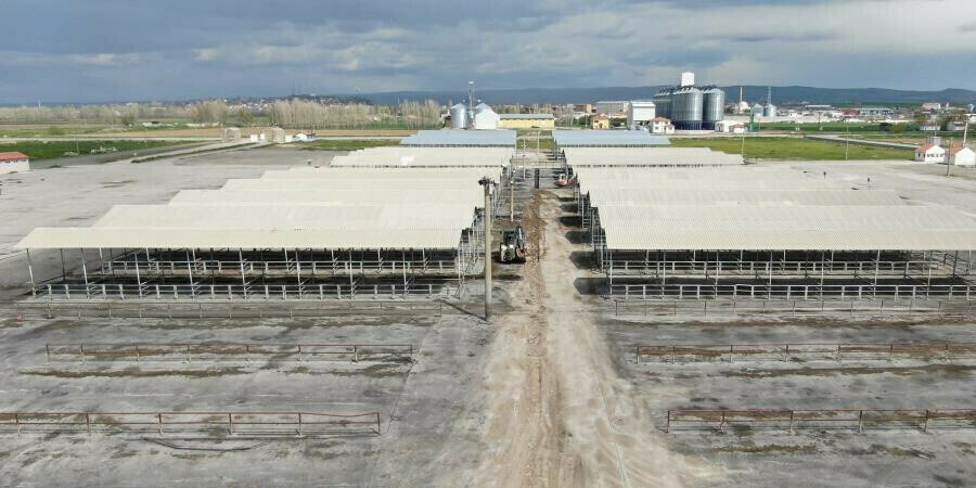  Kurban Bayram'ı öncesi Sivas'ta tedbir! Tüm hayvan pazarları kapatıldı