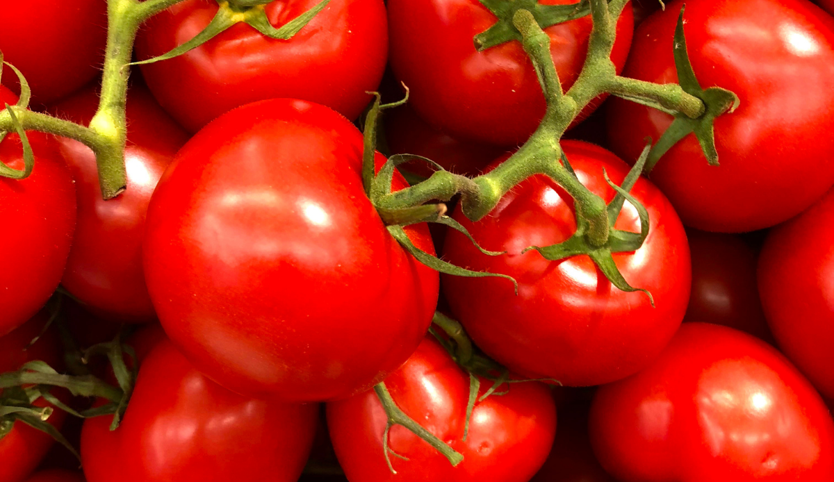 Hiçbir uzman anlatmamıştı... Domatesin pek bilinmeyen etkisi…