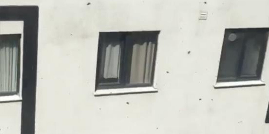 Kağıthane’de toplu arı paniği! Vatandaşlar pencereleri açamadı Kağıthane’de toplu arı paniği! Vatandaşlar pencereleri açamadı