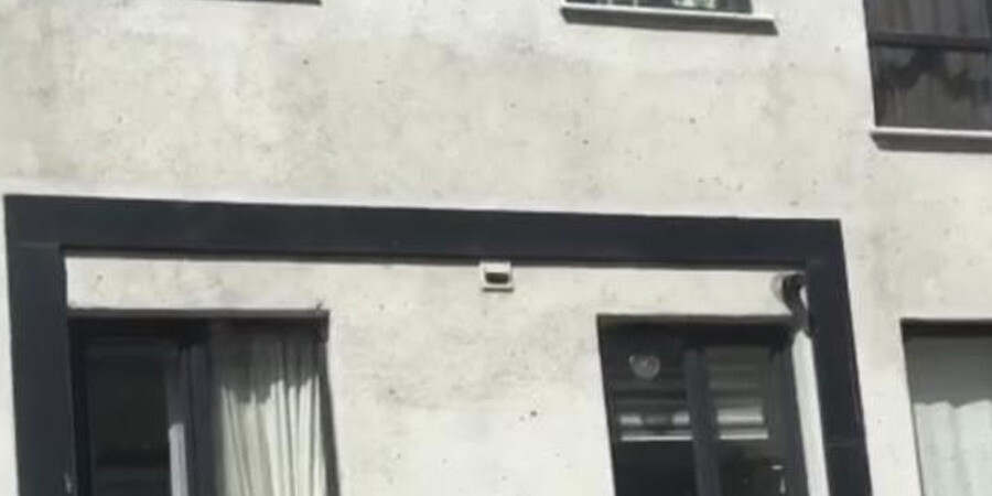 Kağıthane’de toplu arı paniği! Vatandaşlar pencereleri açamadı Kağıthane’de toplu arı paniği! Vatandaşlar pencereleri açamadı
