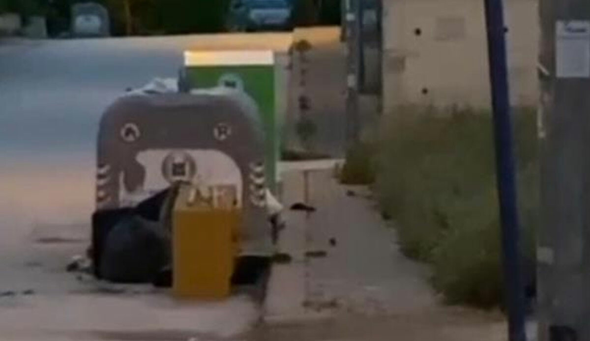 Ankara’yı sağanak vurdu: Fareler caddeleri bastı Ankara’yı sağanak vurdu: Fareler caddeleri bastı