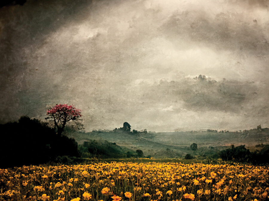 Dijital sanatlarda Türklere ilgi büyük