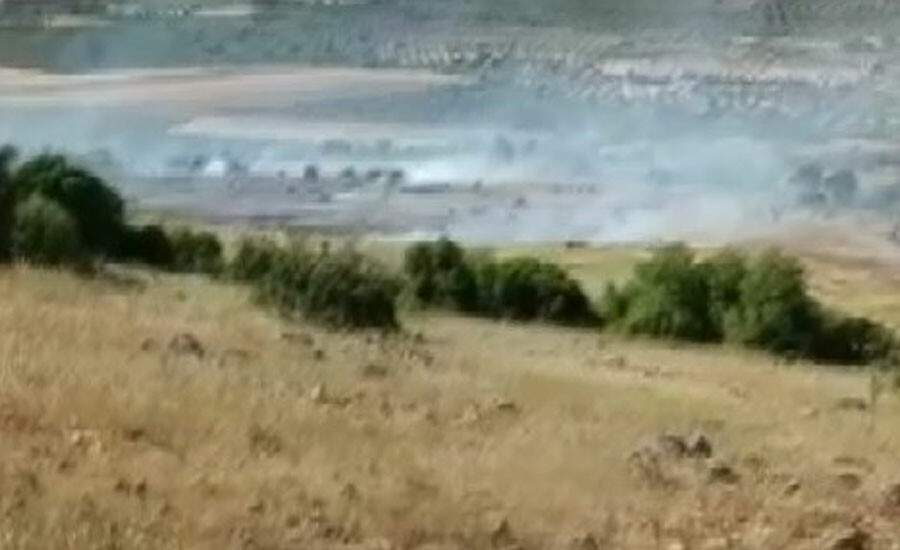 Kilis'te korkutan orman yangını! Hızlı müdahale faciayı önledi