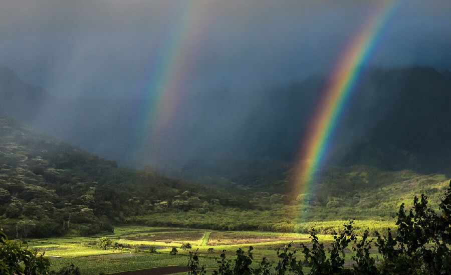 gökkuşağı fiziksel mi kimyasal mı? Gökkuşağı nasıl oluşur?