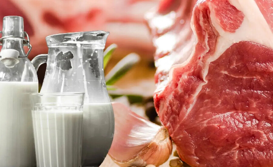 Sakın bu besinleri aynı anda tüketmeyin! Beyin hücrelerini altüst ediyor