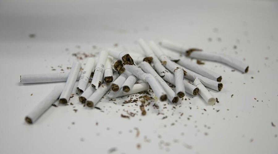 İçmeyeni de zehirliyor… Her yıl 1 milyon kuş sigaradan ölüyor!