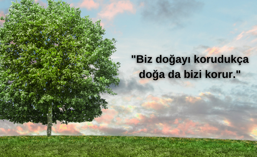 Dünya Çevre Günü mesajları ve sözleri 2023.... 5 Haziran 2023 Dünya Çevre Günü etkinlikleri