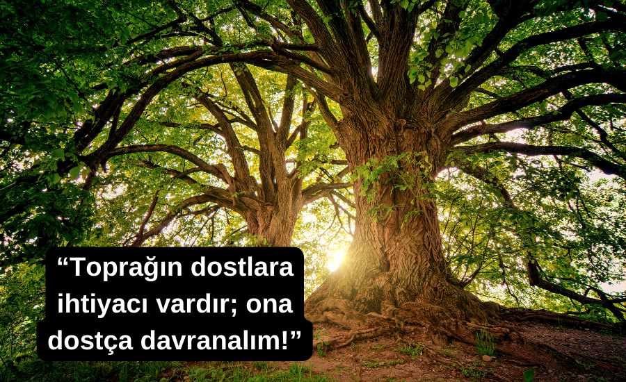 Dünya Çevre Günü mesajları ve sözleri 2023.... 5 Haziran 2023 Dünya Çevre Günü etkinlikleri