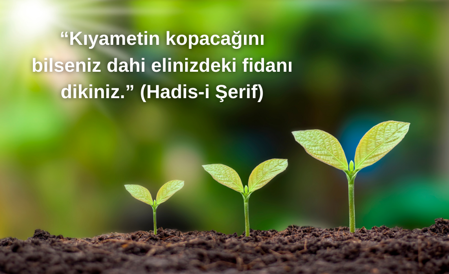 Dünya Çevre Günü mesajları ve sözleri 2023.... 5 Haziran 2023 Dünya Çevre Günü etkinlikleri