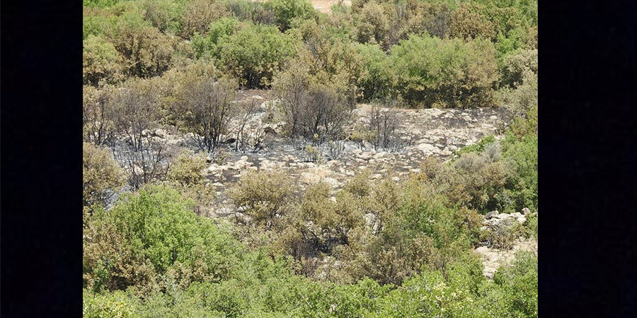 Orman yangını! 20 dönüm arazi kül oldu