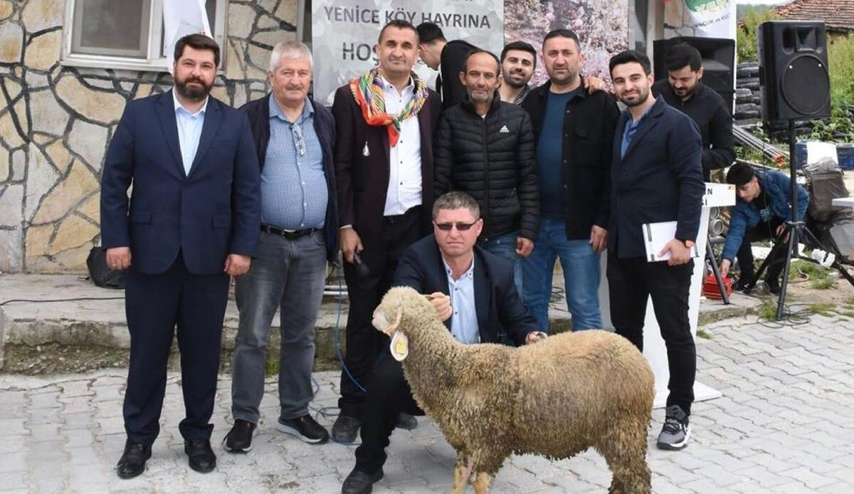 Bursa'da bir kuzu rekor fiyata satıldı! Sevimli miniği satın alan şanslı adam ağa ilan edildi...