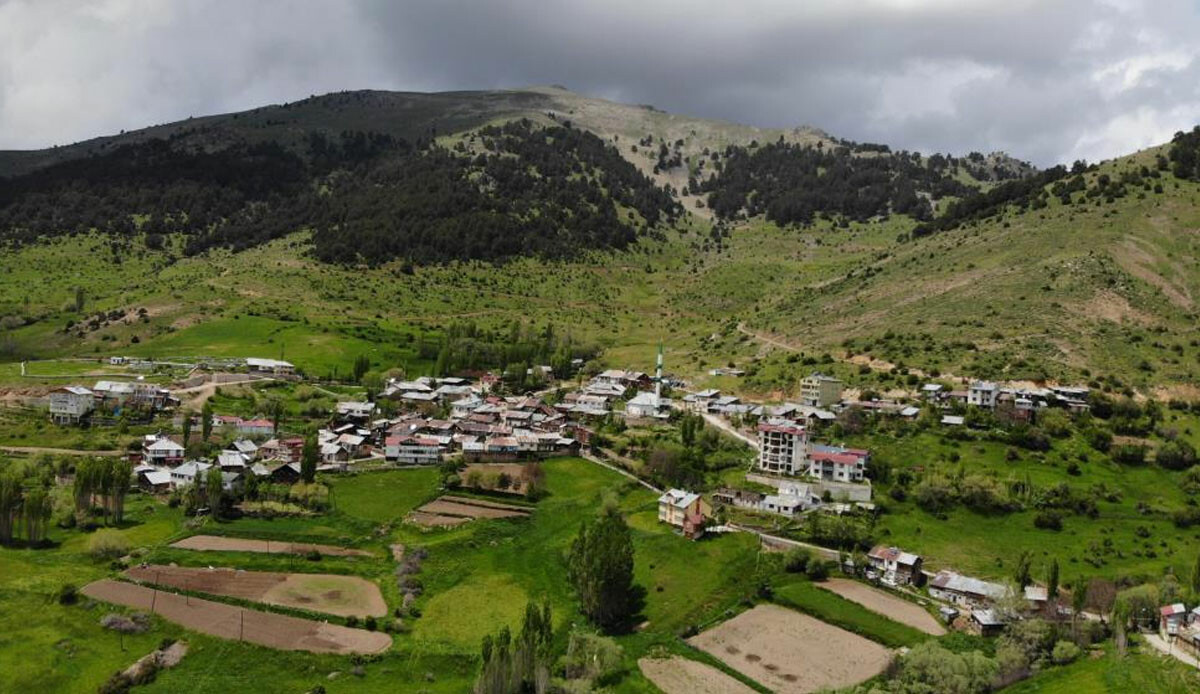 Yataklarına kadar girdi… Köy halkı isyan etti: Neredeyse bizi yiyecekler!