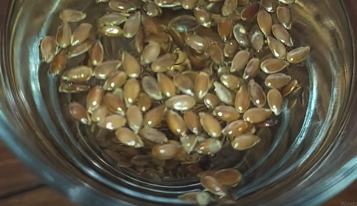 Bağırsaklardaki zararlı toksinleri temizliyor: Kabızlık sorunu olanlar  günde 1 bardak içmeli