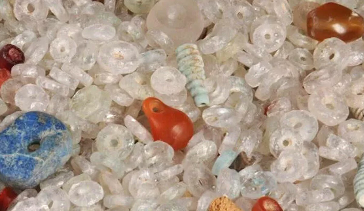 Son 10 yılın keşfi… Dünyanın en eskisi Siirt’te bulundu!  