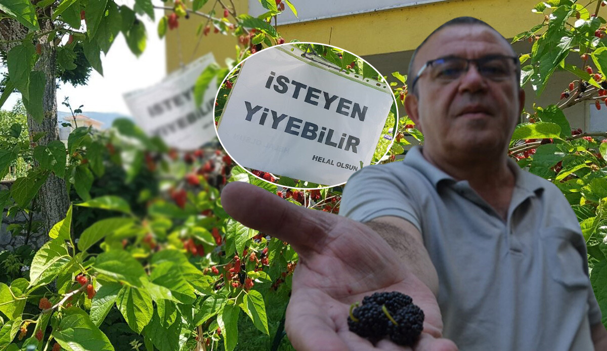 “Kimse çekinmesin” diyerek dut ağacına astığı yazı yürekleri ısıttı