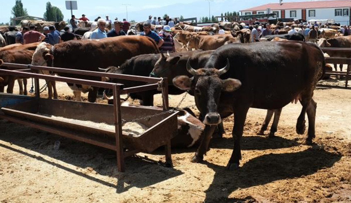 Uzman isimden kurban alacaklara kritik uyarı: Kişisel tedbirinizi alın...