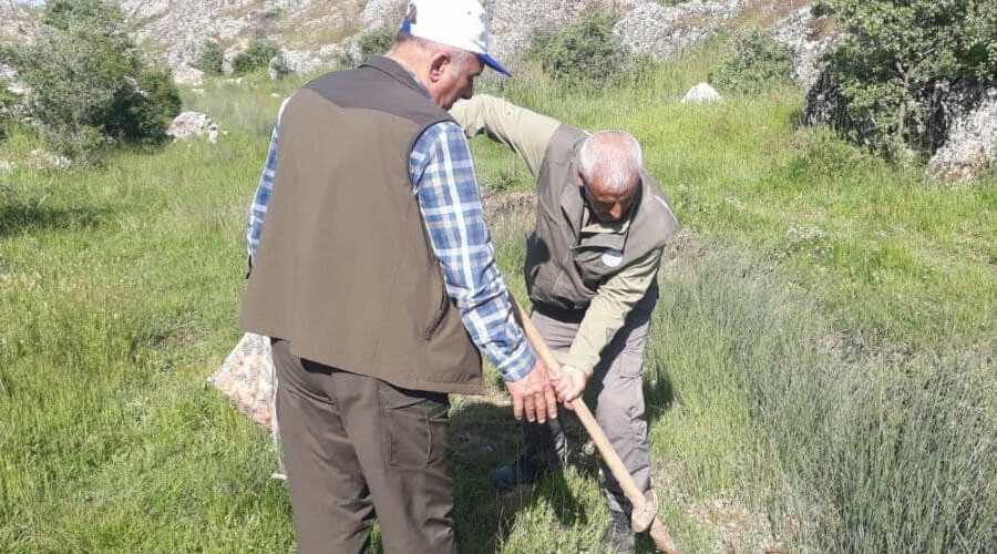 O bitkiye dokunan yandı! 13 kişiye tam 1 milyon 518 bin lira ceza O bitkiye dokunan yandı! 13 kişiye tam 1 milyon 518 bin lira ceza