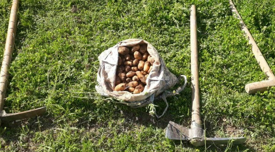 O bitkiye dokunan yandı! 13 kişiye tam 1 milyon 518 bin lira ceza O bitkiye dokunan yandı! 13 kişiye tam 1 milyon 518 bin lira ceza