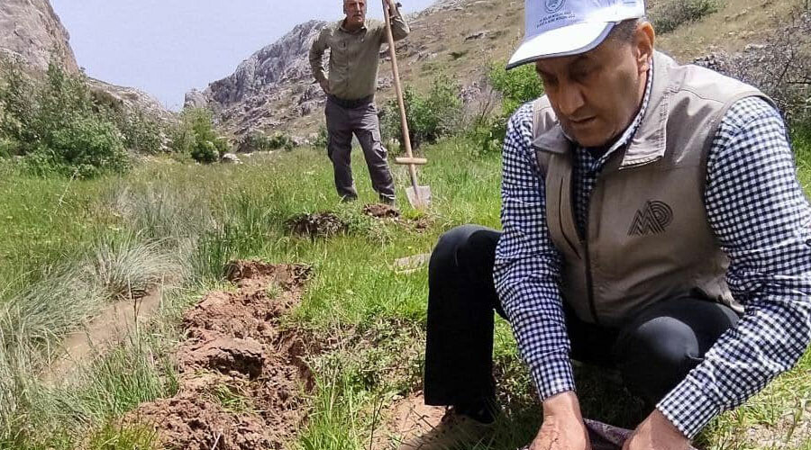 O bitkiye dokunan yandı! 13 kişiye tam 1 milyon 518 bin lira ceza O bitkiye dokunan yandı! 13 kişiye tam 1 milyon 518 bin lira ceza