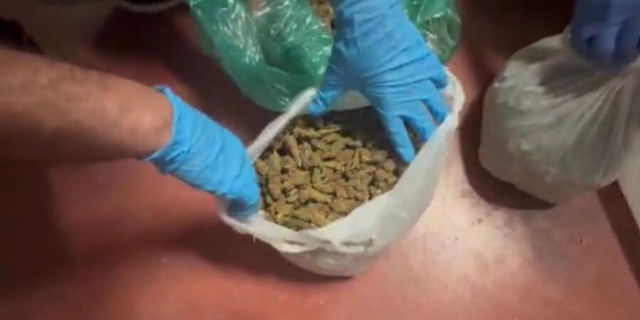 Film sahnelerini aratmayan operasyonla yakalandılar! Havadan ve karadan anbean takip