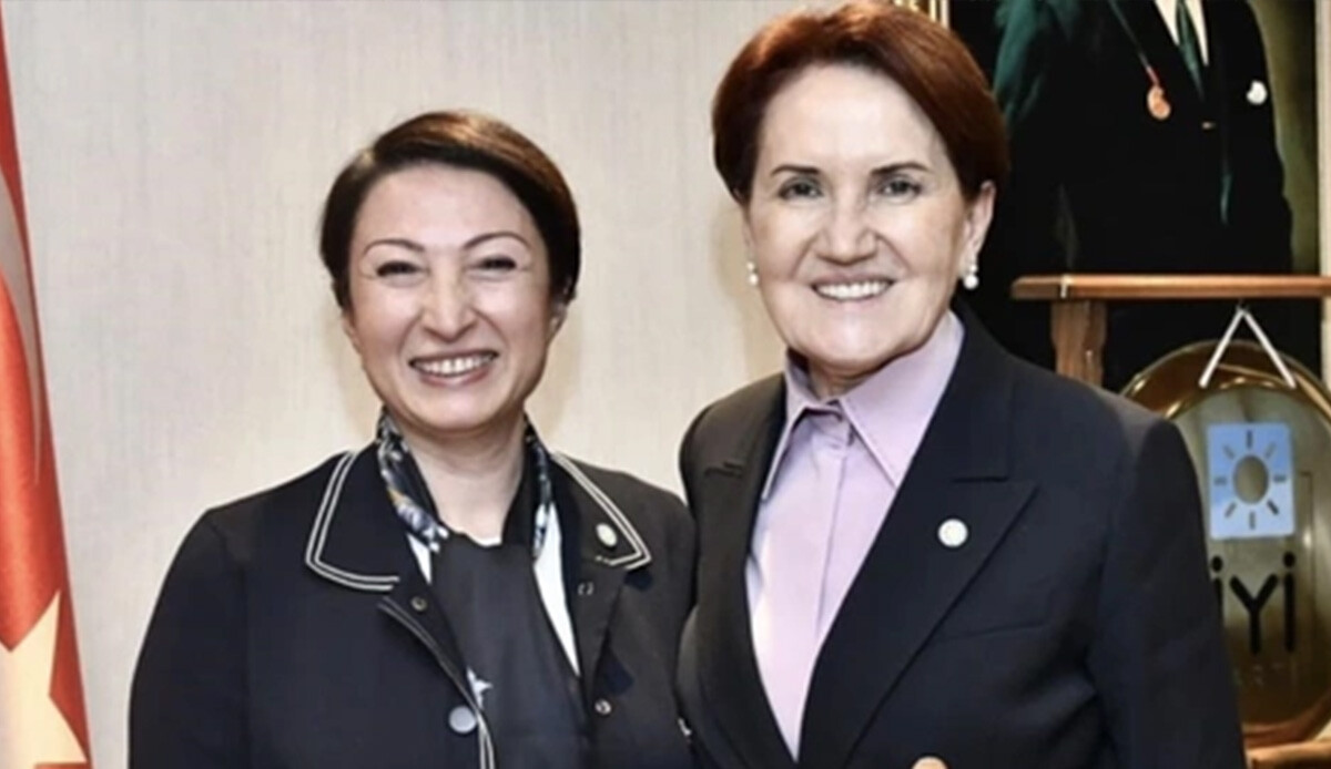 İYİ Parti'de istifaların ardı arkası kesilmiyor! İstifa eden Emine Küçükali öfke kustu İYİ Parti'de istifaların ardı arkası kesilmiyor! İstifa eden Emine Küçükali öfke kustu