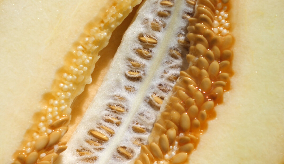 Kanserden koruyor, bağışıklığı zırh gibi yapıyor… Şimdi tam zamanı!