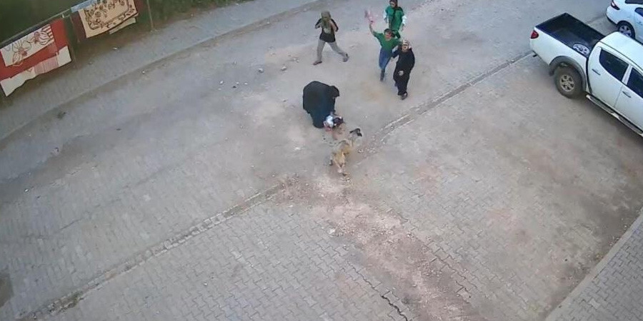 Şanlıurfa’da korku dolu anlar! Sokak köpeği ailesinin yanındaki çocuğa saldırdı