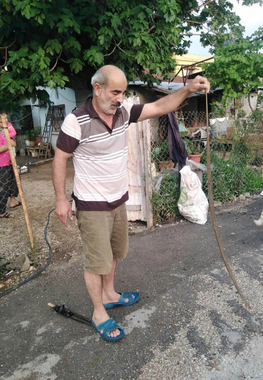 Evine yılan girdi: Eliyle yakalayıp dışarı attı