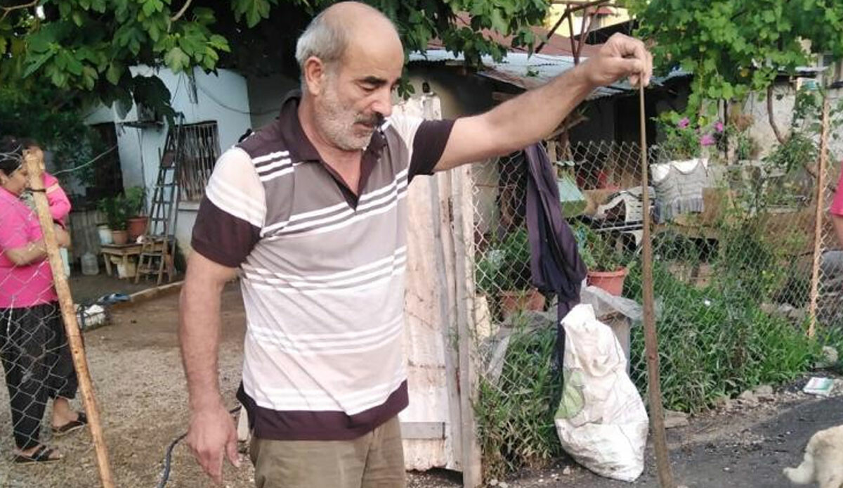 Evine yılan girdi: Eliyle yakalayıp dışarı attı Evine yılan girdi: Eliyle yakalayıp dışarı attı