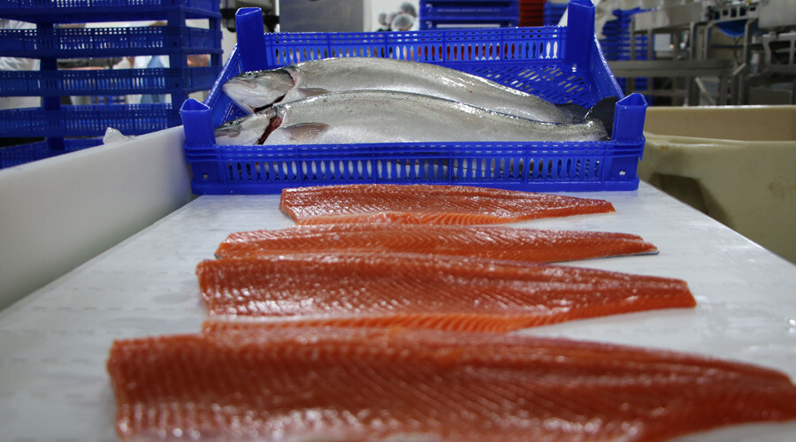 Denizi olmayan ilimizden tüm dünyaya ihraç ediliyor: Ülkeler sıraya girdi, ihracatı ikiye katladı Denizi olmayan ilimizden tüm dünyaya ihraç ediliyor: Ülkeler sıraya girdi, ihracatı ikiye katladı