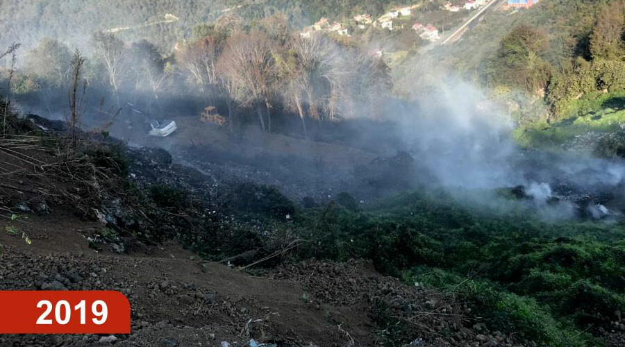 Çöp kokusundan ıhlamur kokusuna… Gören gözlerine inanamadı: 4 yılda ormana döndü