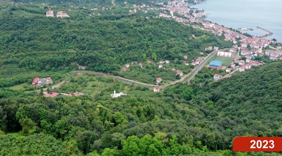 Çöp kokusundan ıhlamur kokusuna… Gören gözlerine inanamadı: 4 yılda ormana döndü