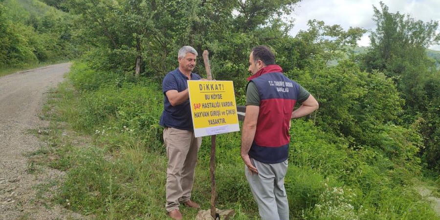 Bartın'da şap karantinası! 3 kilometrelik koruma bölgesi oluşturuldu