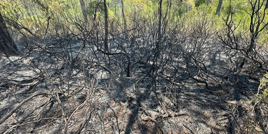 Fethiye'de orman yangını